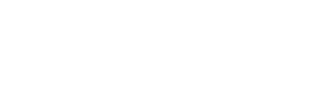 Big Seaweed Search Logo